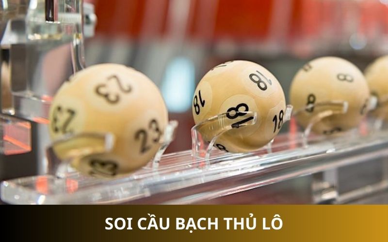 Soi cầu bạch thủ lô