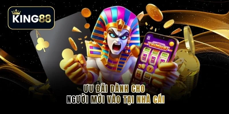 Ưu đãi dành cho người mới vào tại nhà cái