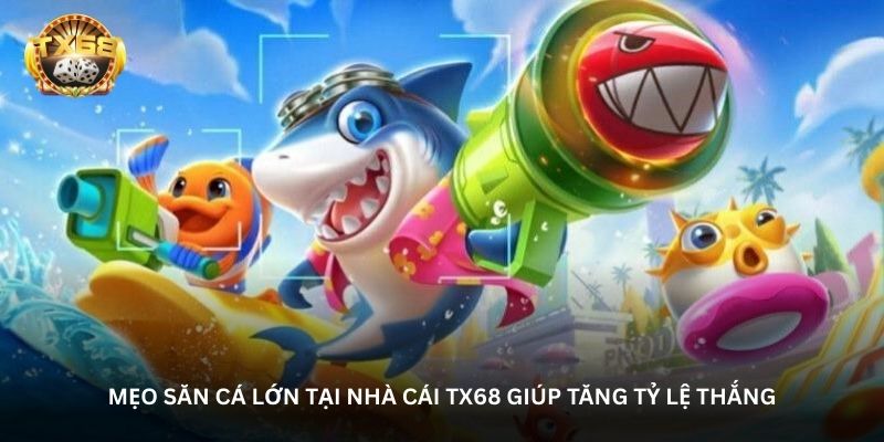Mẹo săn cá lớn tại nhà cái TX68 giúp tăng tỷ lệ thắng
