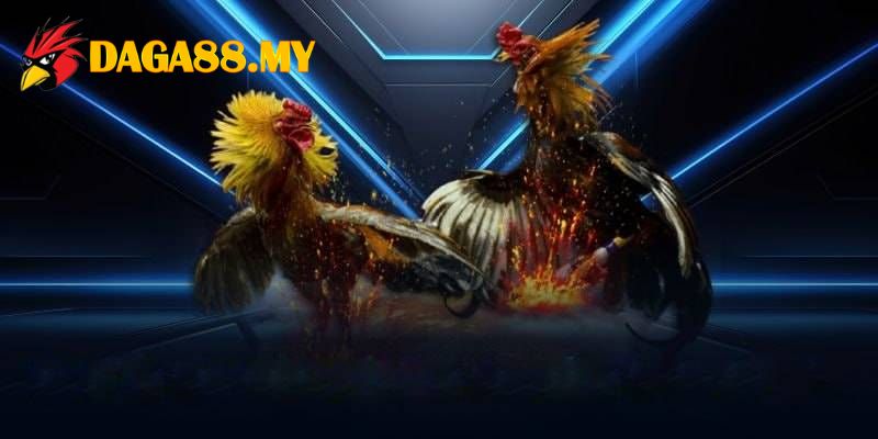 Trải nghiệm giải trí an toàn với tỷ lệ thưởng cực cao