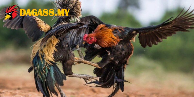 Tận hưởng miễn phí mọi tính năng giải trí cao cấp