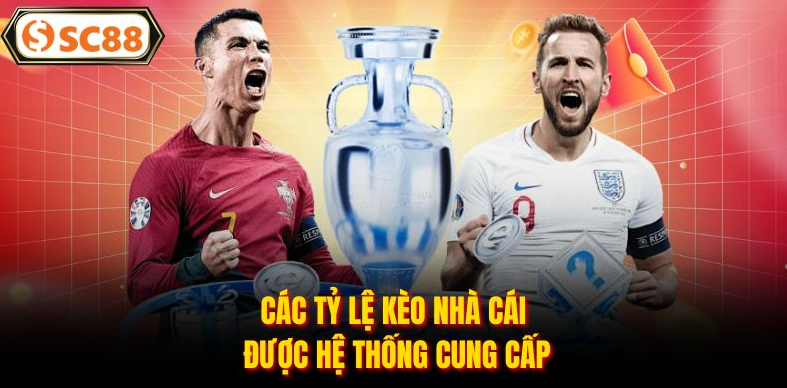 Thể Thao SC88 và trải nghiệm cá cược đậm chất chiến thuật cho người chơi Việt - 3