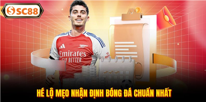 Thể Thao SC88 và trải nghiệm cá cược đậm chất chiến thuật cho người chơi Việt